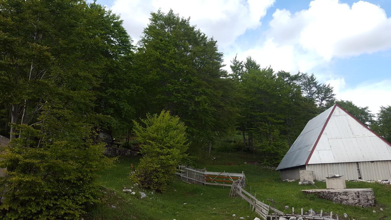 Hawkeye Villa Žabljak Esterno foto